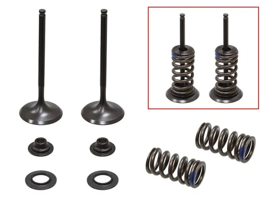 Psychic Intake Valve and Spring Kit 1