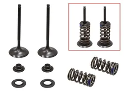 Psychic Intake Valve and Spring Kit