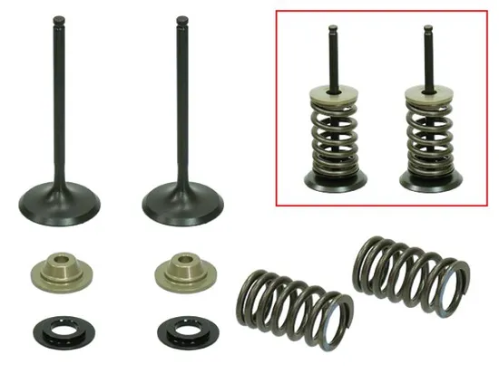 Psychic Intake Valve and Spring Kit