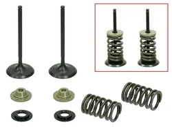 Psychic Intake Valve and Spring Kit