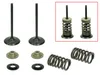 Psychic Intake Valve and Spring Kit