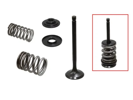 Psychic Exhaust Valve And Spring Kit