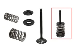 Psychic Exhaust Valve And Spring Kit