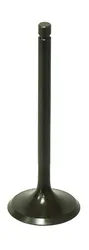 Bronco Steel Intake Valve