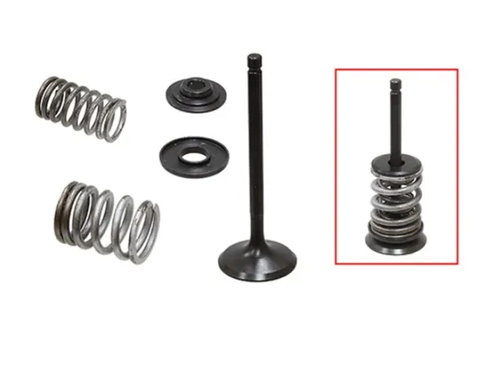 Psychic Intake Valve and Spring Kit
