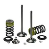 Psychic Intake Valve and Spring Kit
