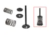 Psychic Intake Valve and Spring Kit