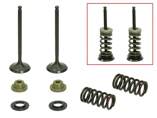 Psychic Exhaust Valve And Spring Kit