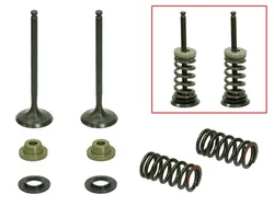 Psychic Exhaust Valve And Spring Kit