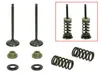 Psychic Exhaust Valve And Spring Kit