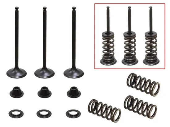 Psychic Intake Valve and Spring Kit