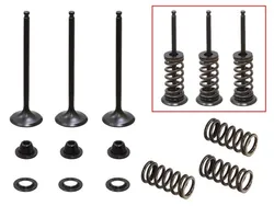 Psychic Intake Valve and Spring Kit