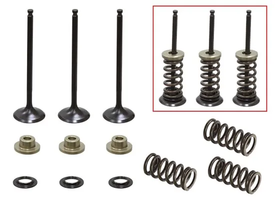 Psychic Intake Valve and Spring Kit