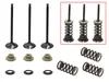 Psychic Intake Valve and Spring Kit