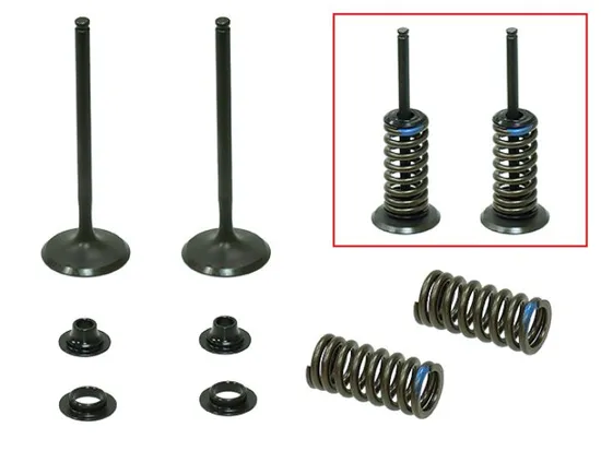 Psychic Intake Valve and Spring Kit