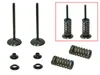 Psychic Intake Valve and Spring Kit