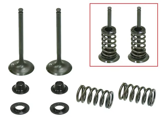 Psychic Exhaust Valve And Spring Kit