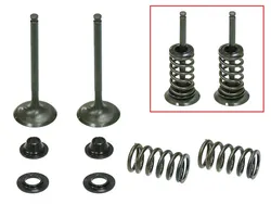 Psychic Exhaust Valve And Spring Kit