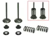 Psychic Exhaust Valve And Spring Kit
