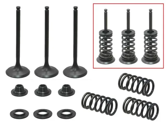 Psychic Intake Valve and Spring Kit