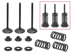 Psychic Intake Valve and Spring Kit