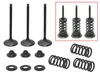 Psychic Intake Valve and Spring Kit