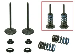 Psychic Intake Valve and Spring Kit