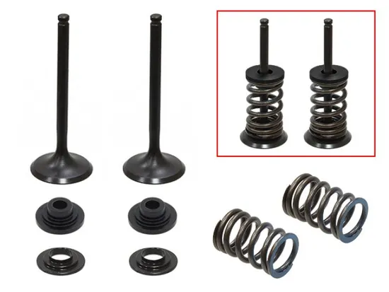 Psychic Exhaust Valve And Spring Kit