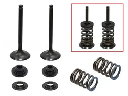 Psychic Exhaust Valve And Spring Kit