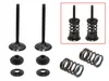 Psychic Exhaust Valve And Spring Kit