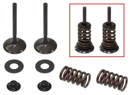 Psychic Exhaust Valve And Spring Kit