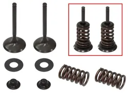 Psychic Exhaust Valve And Spring Kit