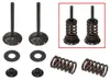 Psychic Exhaust Valve And Spring Kit