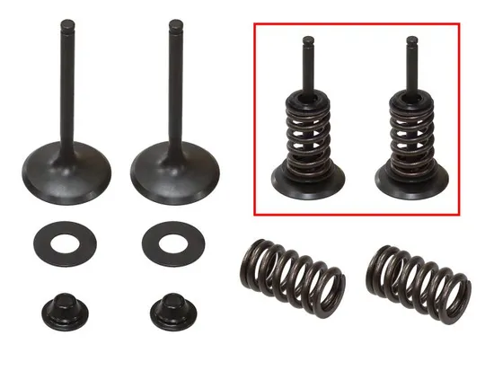 Psychic Intake Valve and Spring Kit