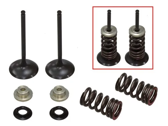 Psychic Intake Valve and Spring Kit