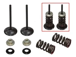 Psychic Intake Valve and Spring Kit