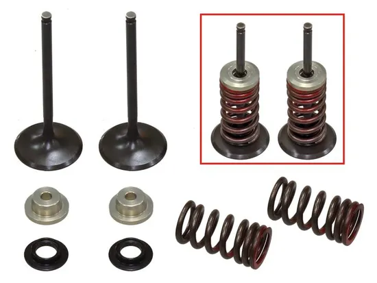 Psychic Intake Valve and Spring Kit