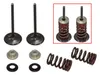 Psychic Intake Valve and Spring Kit