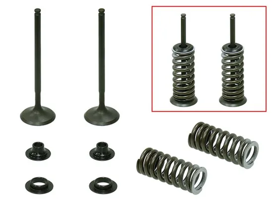 Psychic Exhaust Valve And Spring Kit