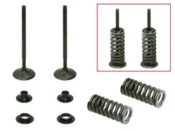Psychic Exhaust Valve And Spring Kit
