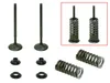 Psychic Exhaust Valve And Spring Kit