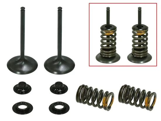 Psychic Intake Valve and Spring Kit