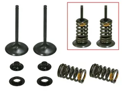 Psychic Intake Valve and Spring Kit