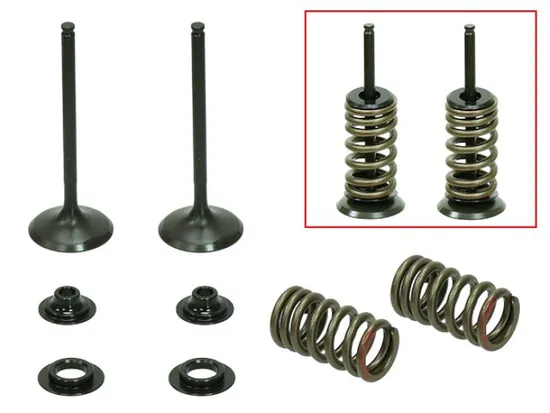Psychic Exhaust Valve And Spring Kit