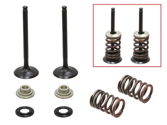 Psychic Exhaust Valve And Spring Kit