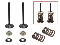 Psychic Exhaust Valve And Spring Kit
