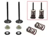Psychic Exhaust Valve And Spring Kit