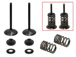 Psychic Intake Valve and Spring Kit