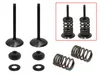 Psychic Intake Valve and Spring Kit