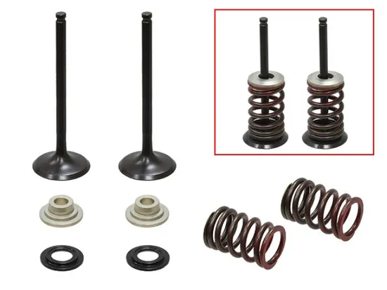 Psychic Exhaust Valve And Spring Kit